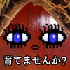 跳跳广场舞